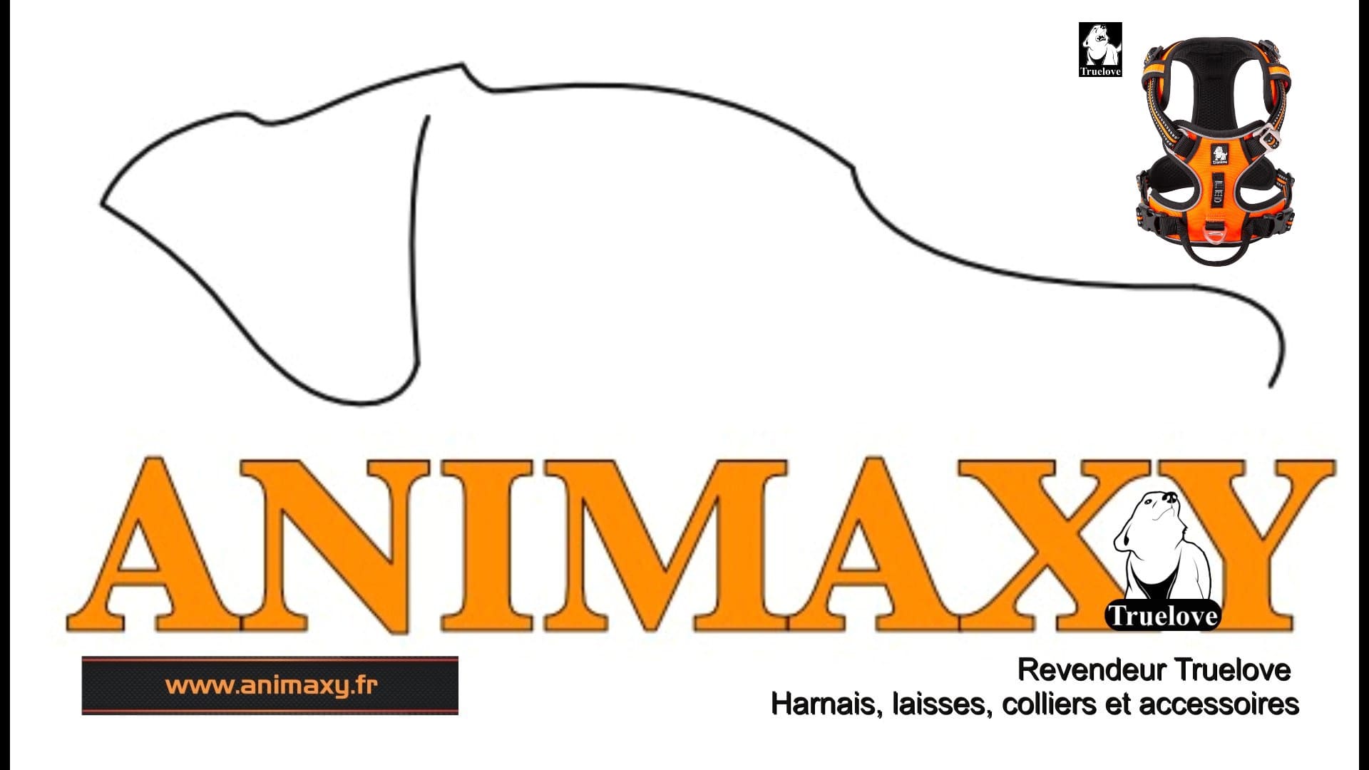 logo-animaxy